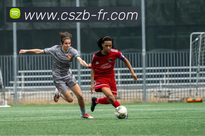 App Interface Preview